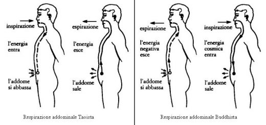 respirazione-addominale